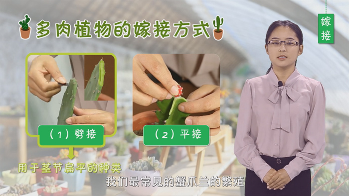 视频课件-虚拟课件拍摄、抠像课件、绿背景课件制作